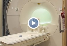 Металната верижка го привлякла към магнитното поле и му причинила