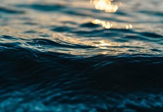 Инцидентът е станал през вчерашния ден а смъртта е установена