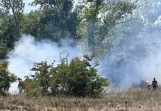 Цигара предизвика пожар край плаж Градина Пожар избухна днес на паркинга