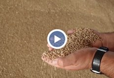 Земевладелци от Южна България настояват цената да достигне 400 лева