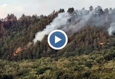 Втори ден продължава борбата със стихията в труднодостъпен теренНа 2200