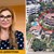 Разкриха палата на Пламенка Димитрова
