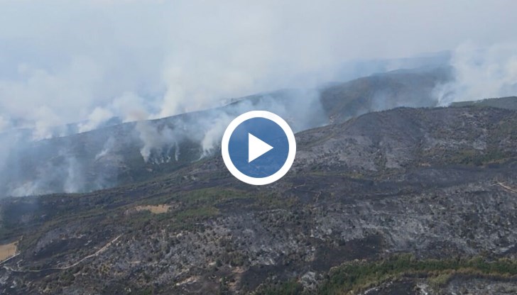 Над 60 хиляди декара са засегнати само за месец, залесяването отнема десетилетия