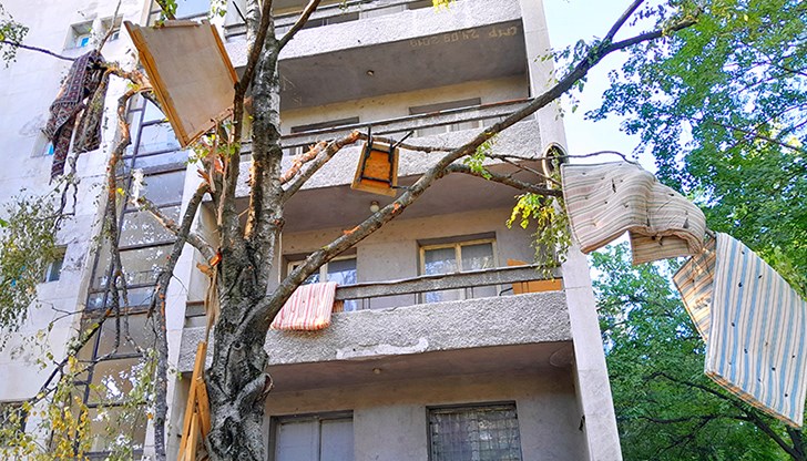 Снимки показват съсечено дърво и разхвърляни отпадъци около сградата