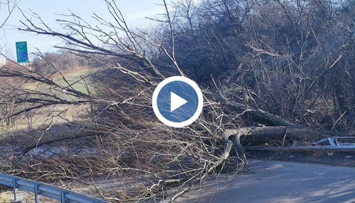 Образували са се опашки в двете посоки на път I-4 в района на Микре