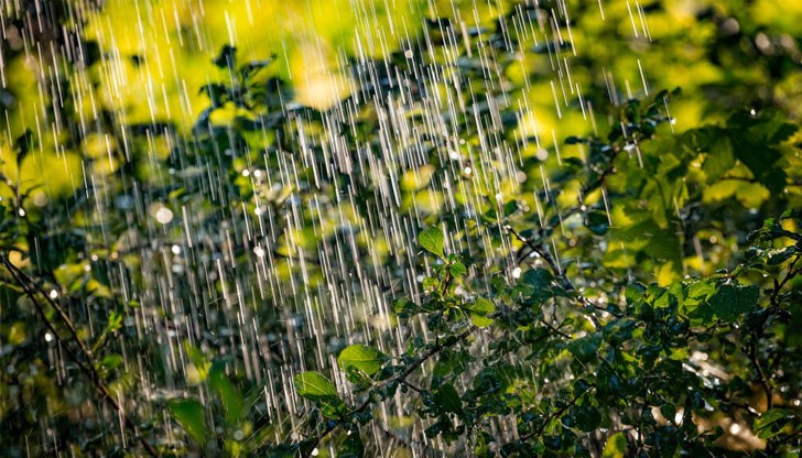 След обяд ще се развива купеста облачност, в Родопите - с гръмотевици