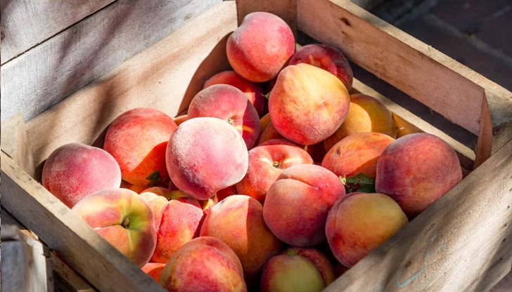 Сочните плодове са богати на фибри и витамини, които подпомагат здравословното храносмилане