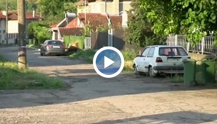 Русенски шофьор блъсна умишлено дете – заплашен е от доживотен затвор