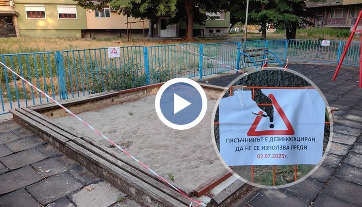 Бездомните котки в квартала наложиха извънредни мерки за хигиена