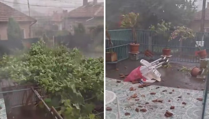 Стихията събори редица клони на дървета