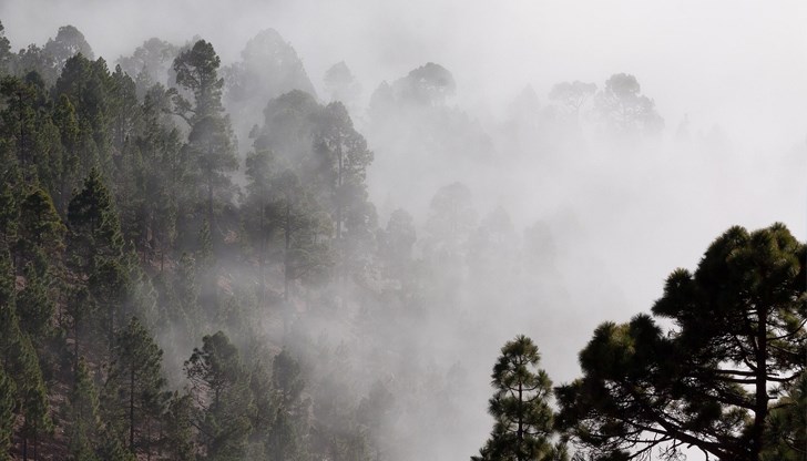 Движението на огъня към България е спряно