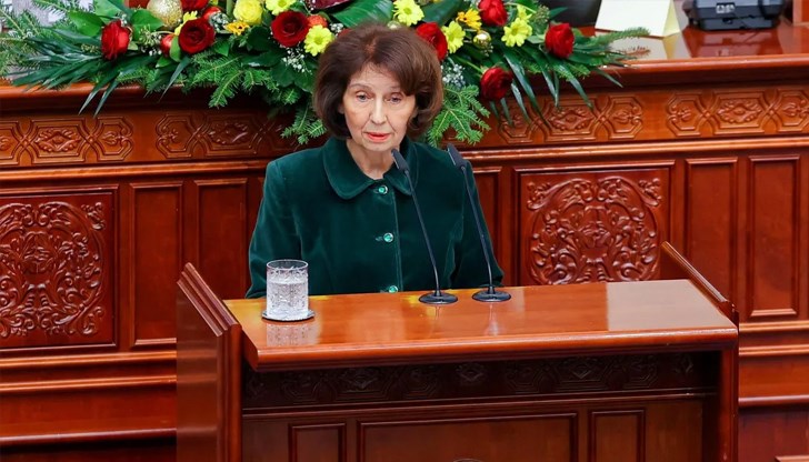 Президентът на Северна Македония критикува двойните стандарти в Европейския парламент Президентът на Северна Македония критикува двойните стандарти в Европейския парламент