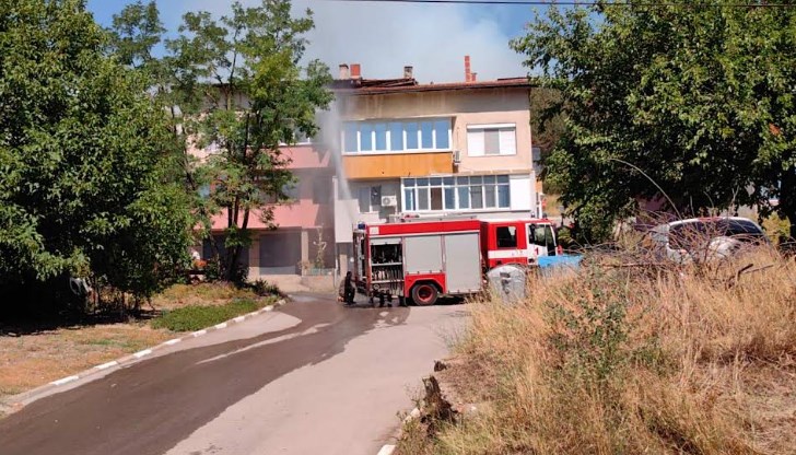 Направени са просеки към завод „Дунарит“, така че огънят да не достигне до него Направени са просеки към завод „Дунарит“, така че огънят да не достигне до него