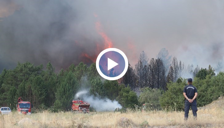 Турция в пламъци: Доброволци и горски служители загинаха в огнения капан