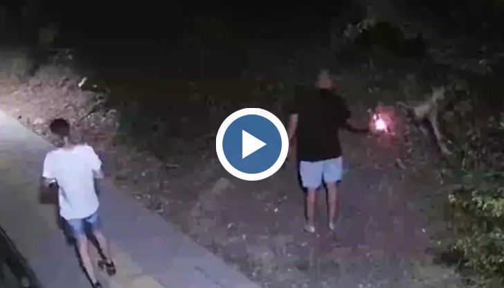 Британското издание е разпространило видеозапис от инцидента, предизвикан от Стоян Денчев