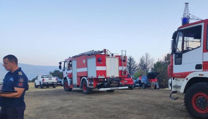 Доброволците ще работят в района на дерето Доброволците ще работят в района на дерето