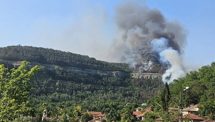 Суха трева и гора са обхванати от пламъци, на място са всички налични екипи и кметът на града Суха трева и гора са обхванати от пламъци, на място са всички налични екипи и кметът на града
