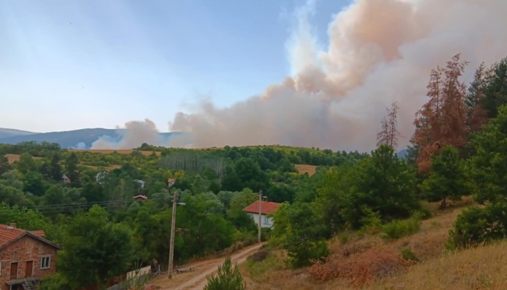 Четири пожарни автомобила се борят с пламъците, които обхванаха района заради силния вятър и високите температури