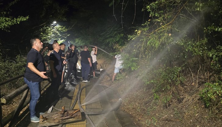 Над 12 пожарни коли гасиха огъня