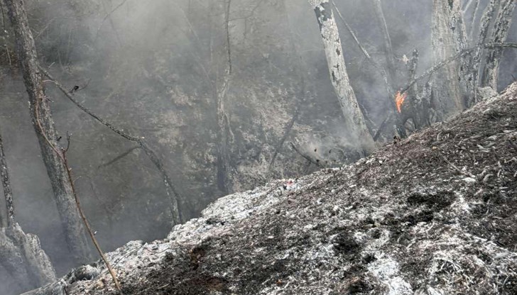 Огнената стихия засегна селата Опицвет, Безден и Богьовци, движи се към Понор