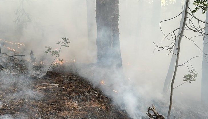 Кметът на населеното място предупреди за сложната ситуация с приближаващия пожар
