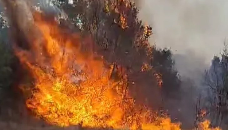 Огънят се разпространи от село Владимирово към Орлов дол, населението предупредено за опасност от обгазяване Огънят се разпространи от село Владимирово към Орлов дол, населението предупредено за опасност от обгазяване
