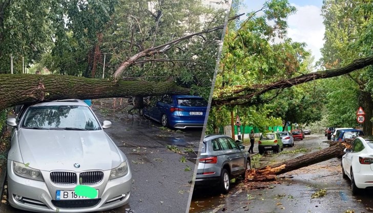 Код червено, скорост на вятъра до 90 км/ч, полети пренасочени към Варна Код червено, скорост на вятъра до 90 км/ч, полети пренасочени към Варна