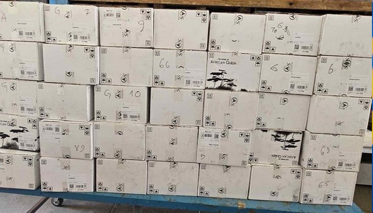 Българин скрил 1440 опаковки тютюн за наргиле между пластмасови листове