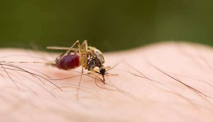 Пациентът от София е изписан в добро състояние след хоспитализация Пациентът от София е изписан в добро състояние след хоспитализация