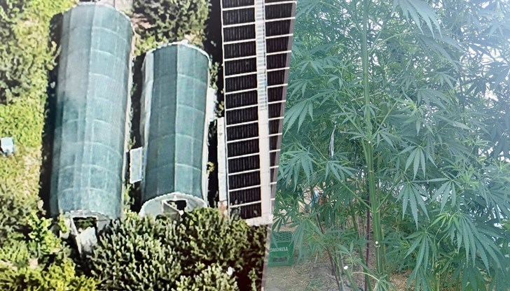 Открити са марихуана, екстази и професионално оборудване