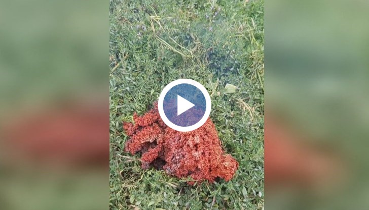 Лабораториите в България са в затруднение да изследват материала заради неизвестния му състав