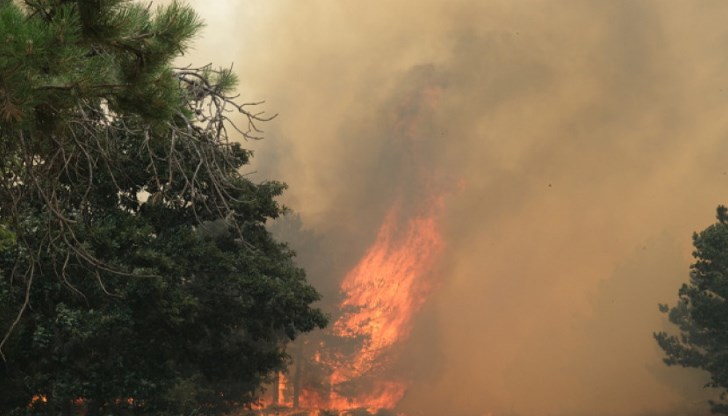 Задействана е системата BG-ALERT заради възможна опасност за населението Задействана е системата BG-ALERT заради възможна опасност за населението