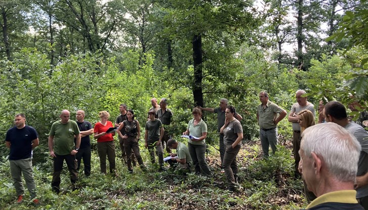Горските работници остават в протестна готовност