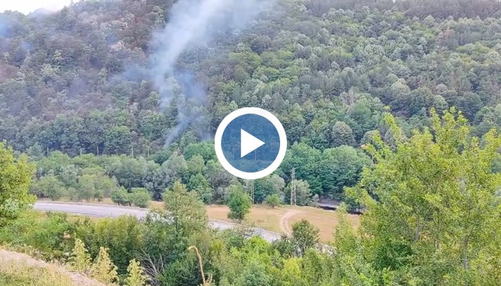 Паднало горящо дърво върху контактната мрежа доведе до спиране на влаковото движение между Костенец и Белово