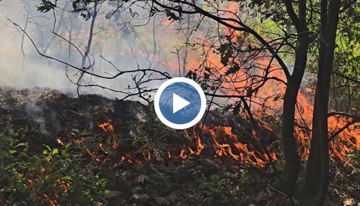 Пожарът край Каленик е обградил селото