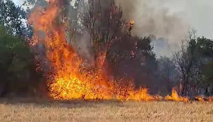Огънят обхвана 600 декара Огънят обхвана 600 декара