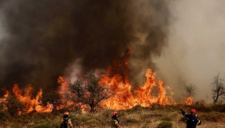 Природозащитниците алармират за невъзстановими загуби в екосистемите Природозащитниците алармират за невъзстановими загуби в екосистемите