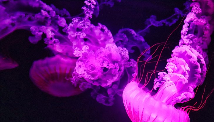 При контакт е нужна медицинска помощ