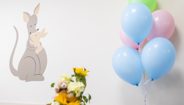 Вътрешната проверка установила, че голяма част от твърденията не отговарят на истината Вътрешната проверка установила, че голяма част от твърденията не отговарят на истината