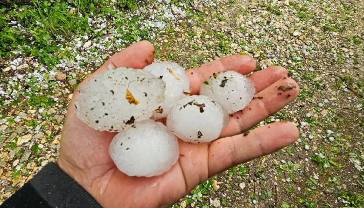 Директорът на Регионалната дирекция в Старо село алармира за сериозен недостиг на кадри и остарели заплати Директорът на Регионалната дирекция в Старо село алармира за сериозен недостиг на кадри и остарели заплати