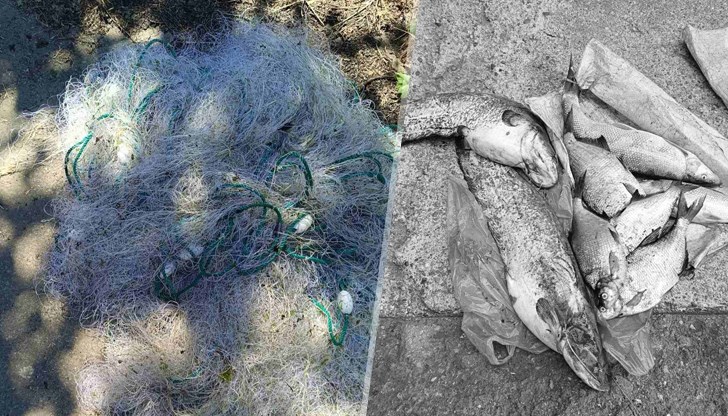 Един от нарушителите е осъждан два пъти за улов с ток