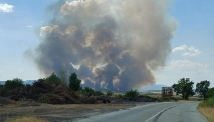 Четири екипа на пожарната се борят с огъня в дъбова гора, на 4 километра от селото