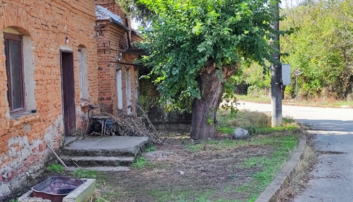 Стоянка Черкезова: До 2060 година селата у нас напълно ще обезлюдеят Стоянка Черкезова: До 2060 година селата у нас напълно ще обезлюдеят