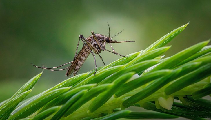 Силви Кирилов се ангажирал да стартира процедурата до 15 септември