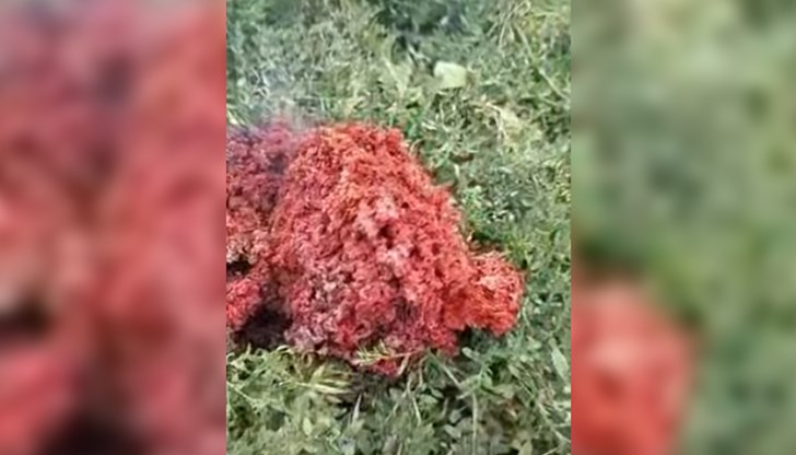 Кметът разпореди анализ на материала, обектът запалил тревата около себе си Кметът разпореди анализ на материала, обектът запалил тревата около себе си