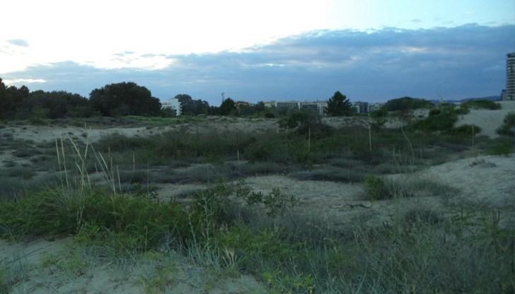 През уикенда ще бъде предимно слънчево със заоблачаване в следобедните часове През уикенда ще бъде предимно слънчево със заоблачаване в следобедните часове