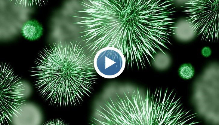 Микробът, типичен за субтропиците, се среща в Ропотамо и Велека и може да доведе до сепсис и ампутации