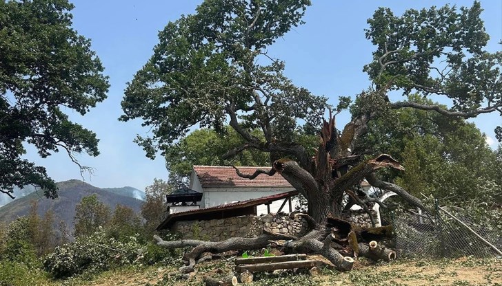 Европейският финалист от 2017 г. не устоя на пожарите в Трънския край Европейският финалист от 2017 г. не устоя на пожарите в Трънския край