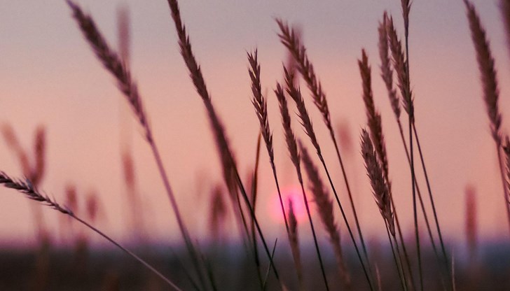 Кратко захлаждане преди новия горещ период до средата на юли