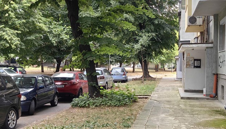 Инцидентът е станал в градинката пред блок "Ела"